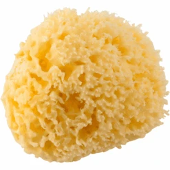 Rotho Babydesign Mittelmeerschwamm